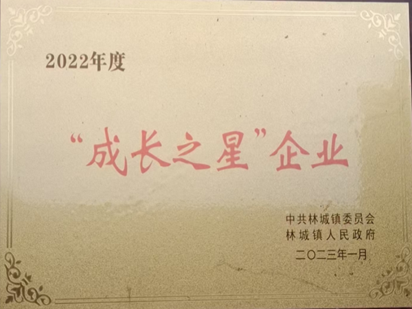 成长之星企业